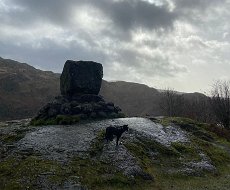 27th Feb Caldons to Curleywee Feb